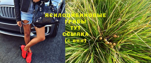 дживик Алексин