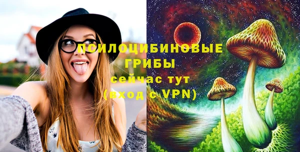 Альфа ПВП Абаза