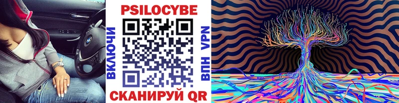 Псилоцибиновые грибы мицелий  где купить наркотик  Староминская 